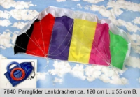 Paraglider Lenkdrachen 120x55cm