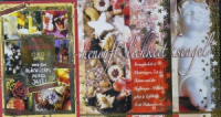 Weihnachten "Sterne" 11,5x17 cm , 100er Karton